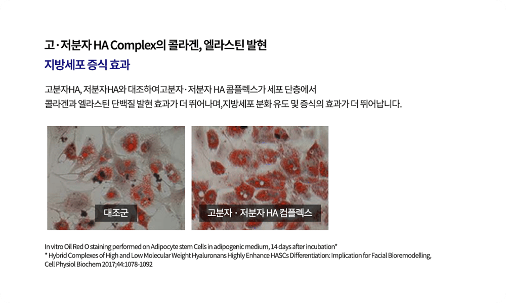 point04-2수정2